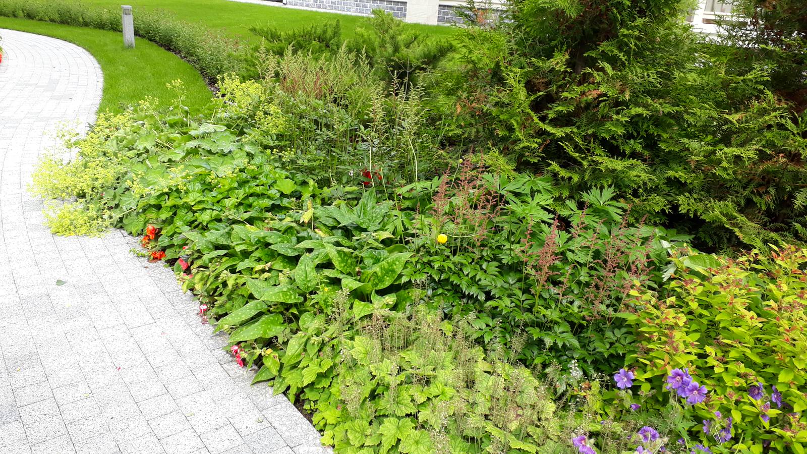 Графские пруды