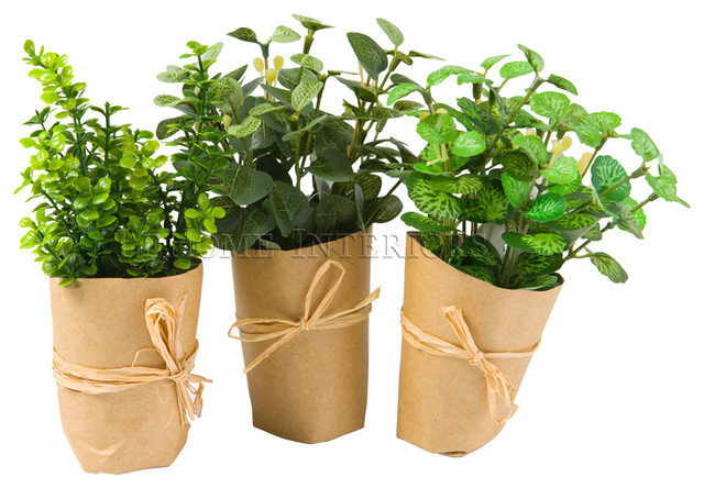 Цветы на подоконнике: 12 идей, как расставить их по правилам декора