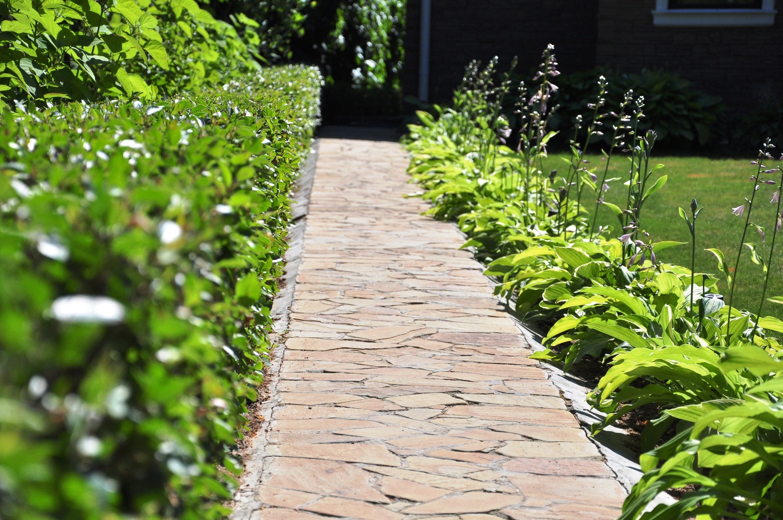 Обложка проекта: д. Громково - Уход за садом - 100% качество