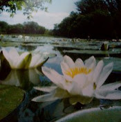 Лилия Черемисина