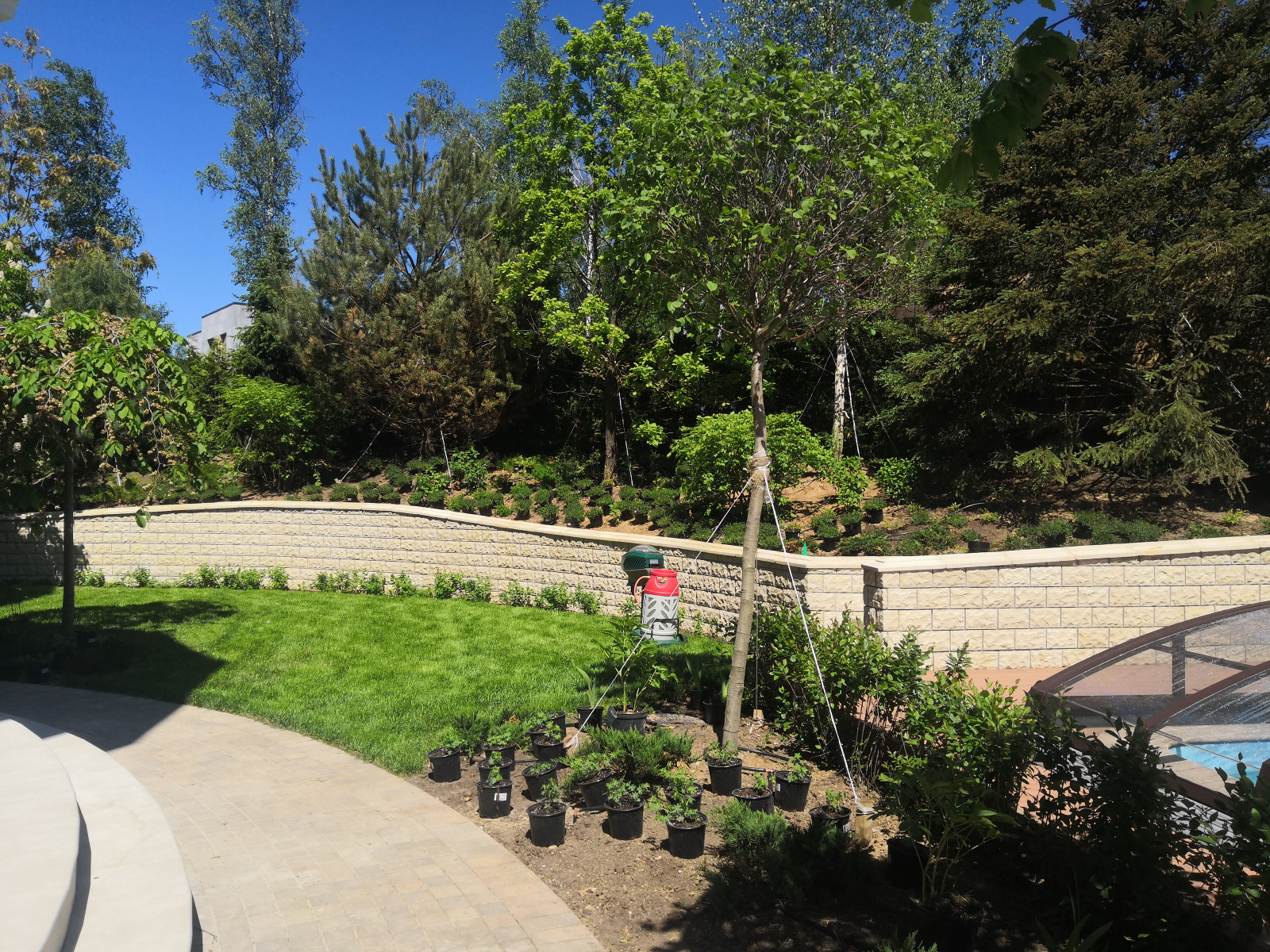 Landscape design of the territory (Moscow region)