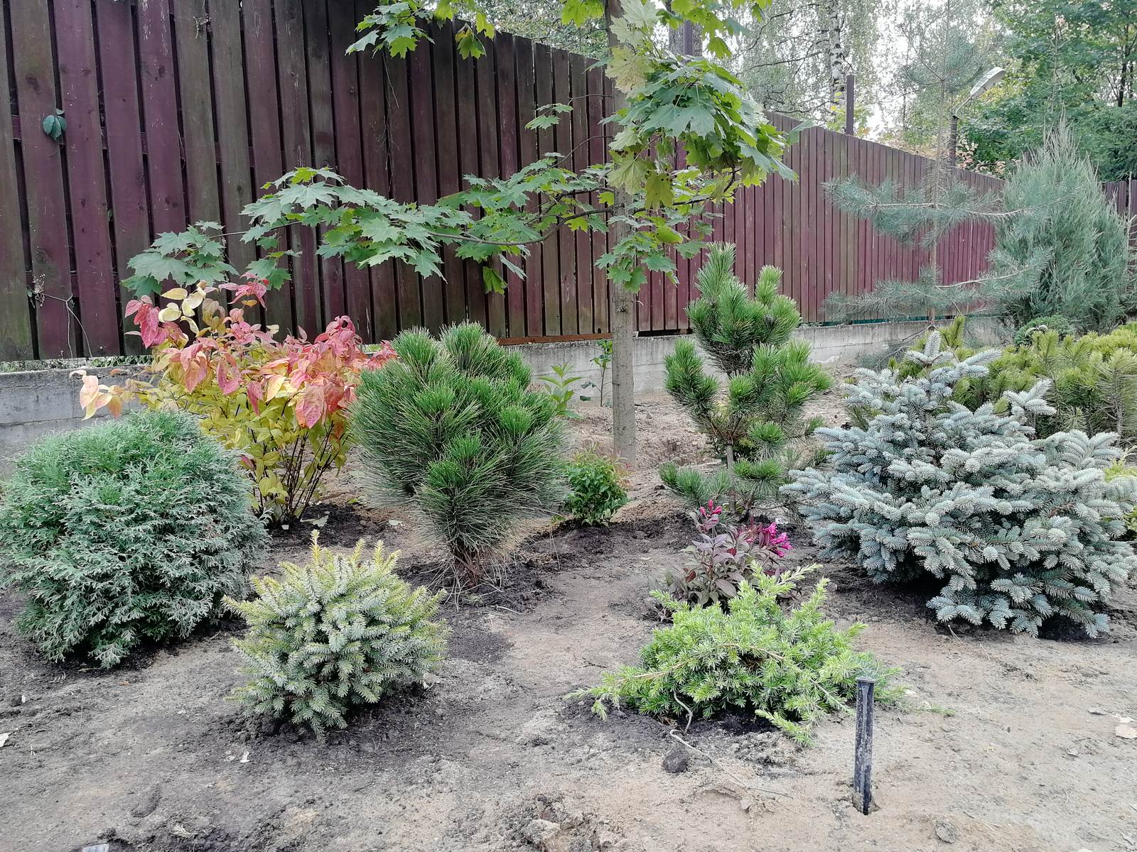 Реализация проект " Вечная любовь"