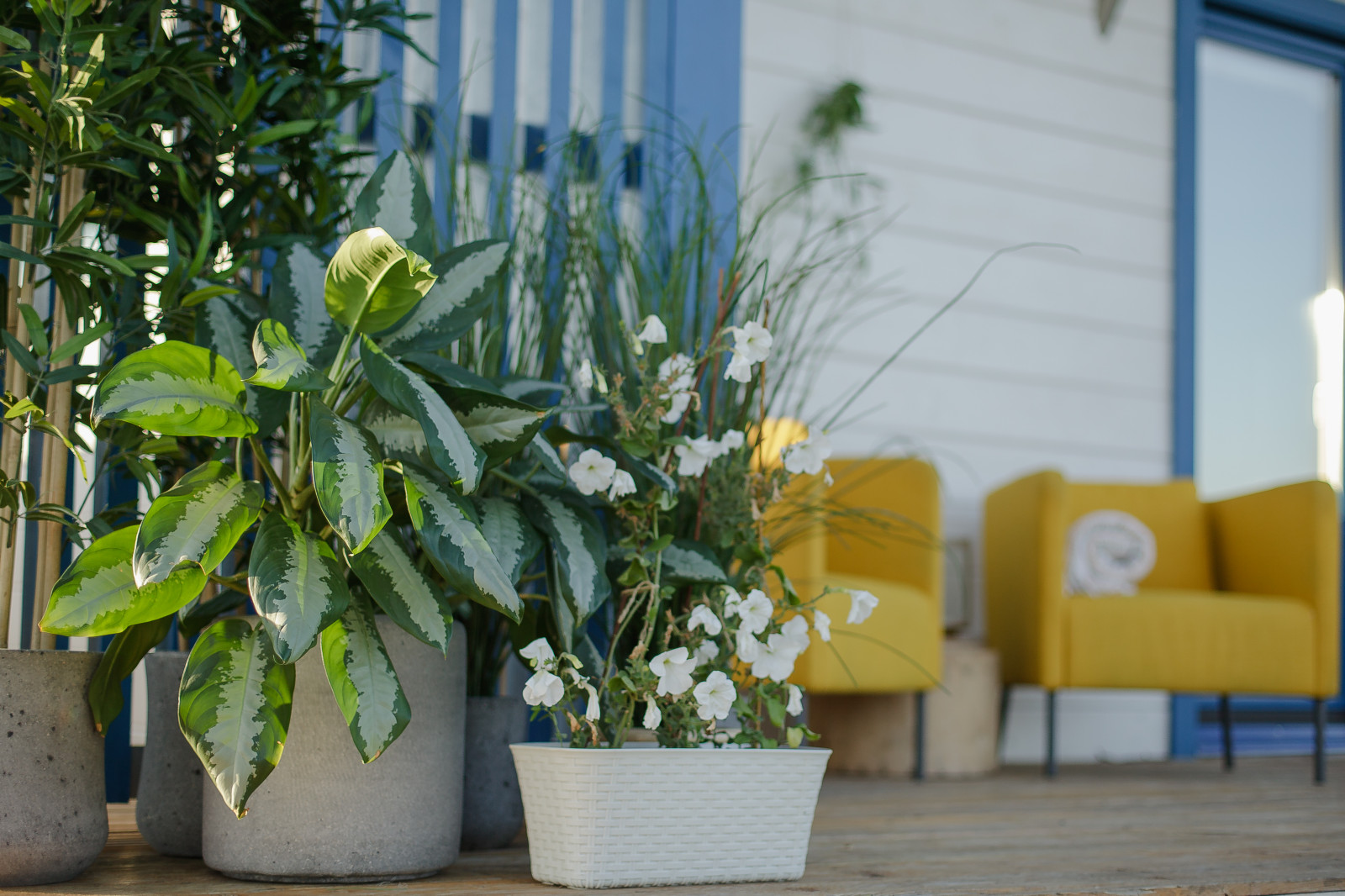 Concept House Store проект 2К двойной брус