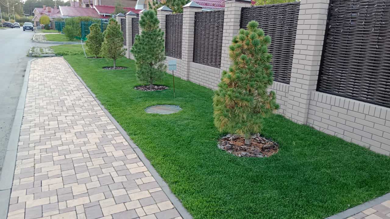 Серебрянный бор - 3