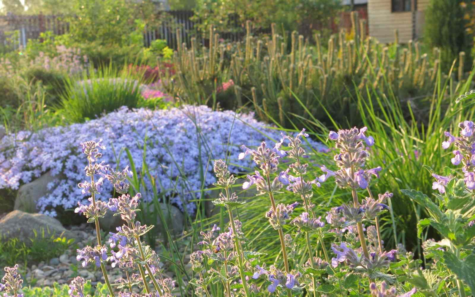 ТЕПЛЫШКО МОЕ. ВЕСНА.