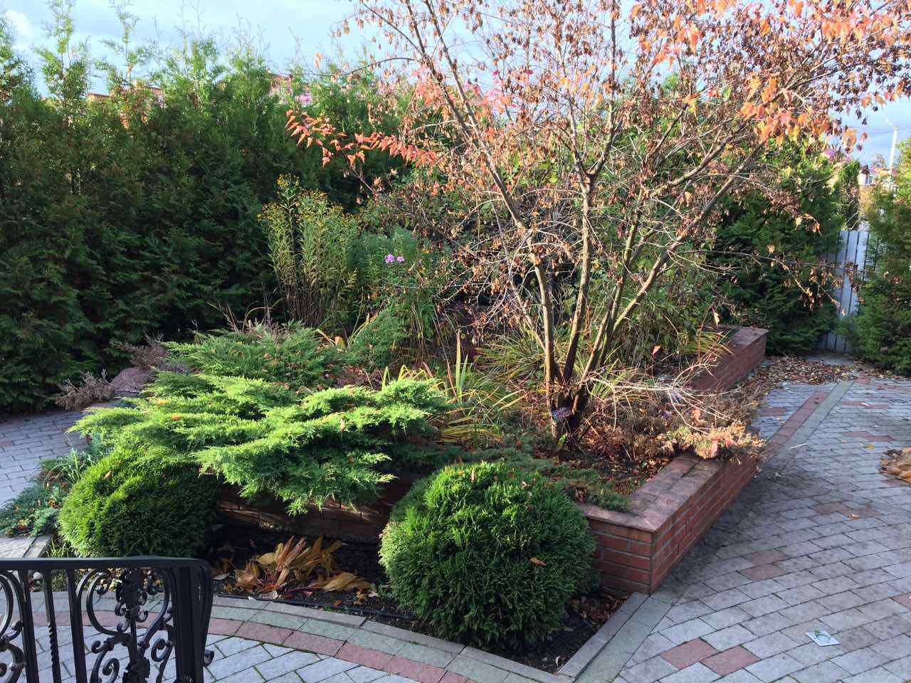 Сад у таунхауса