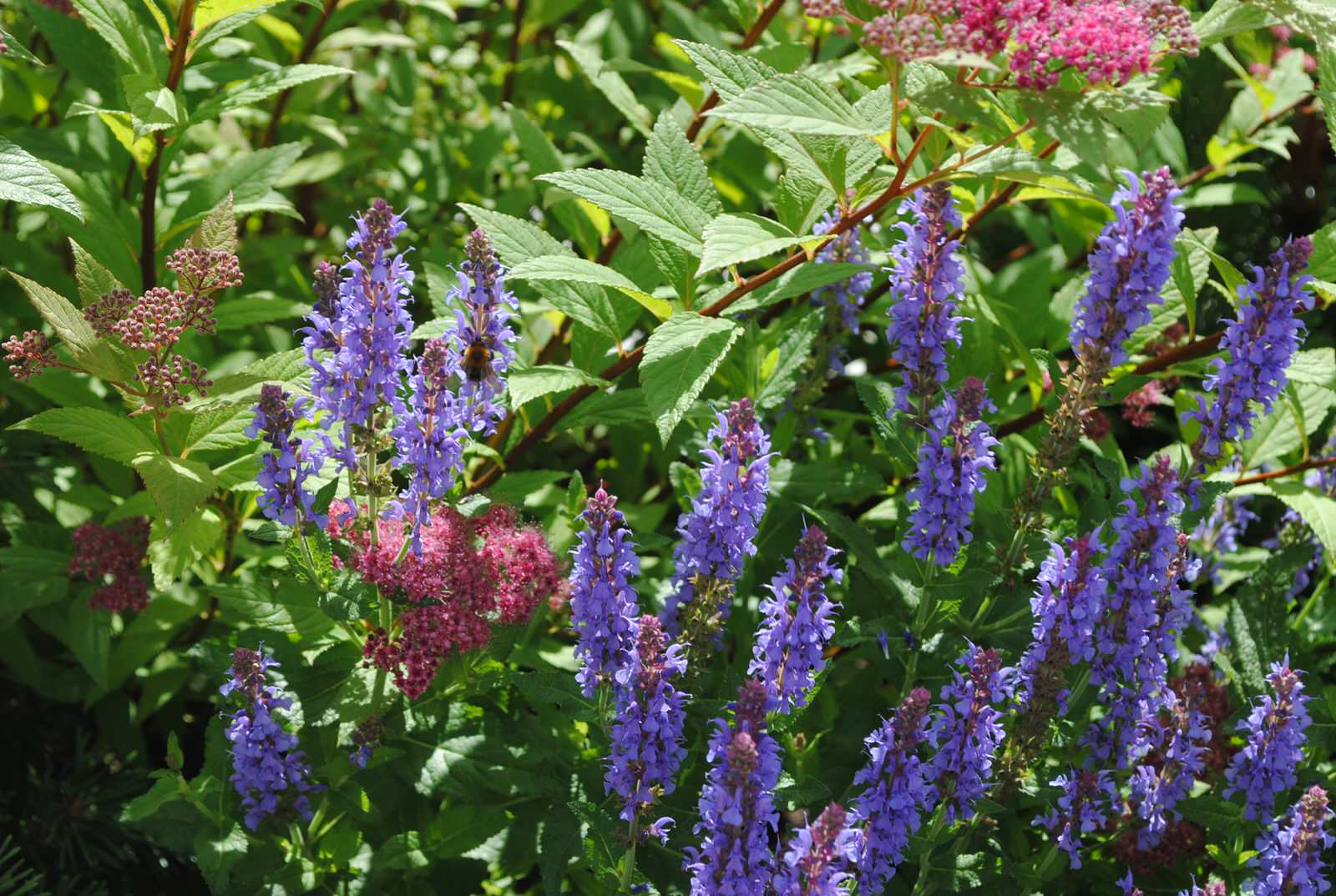 Дмитровское шоссе