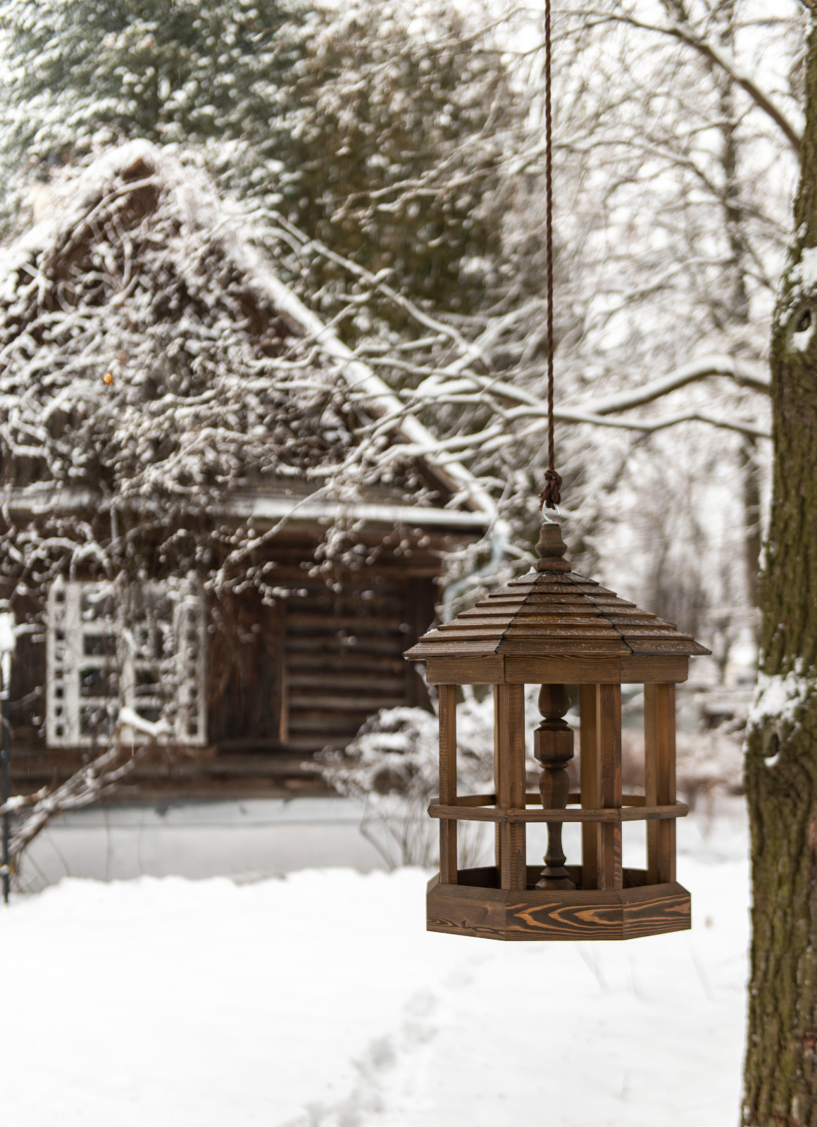 Женя Жданова Таруса, Сад Ракицкого