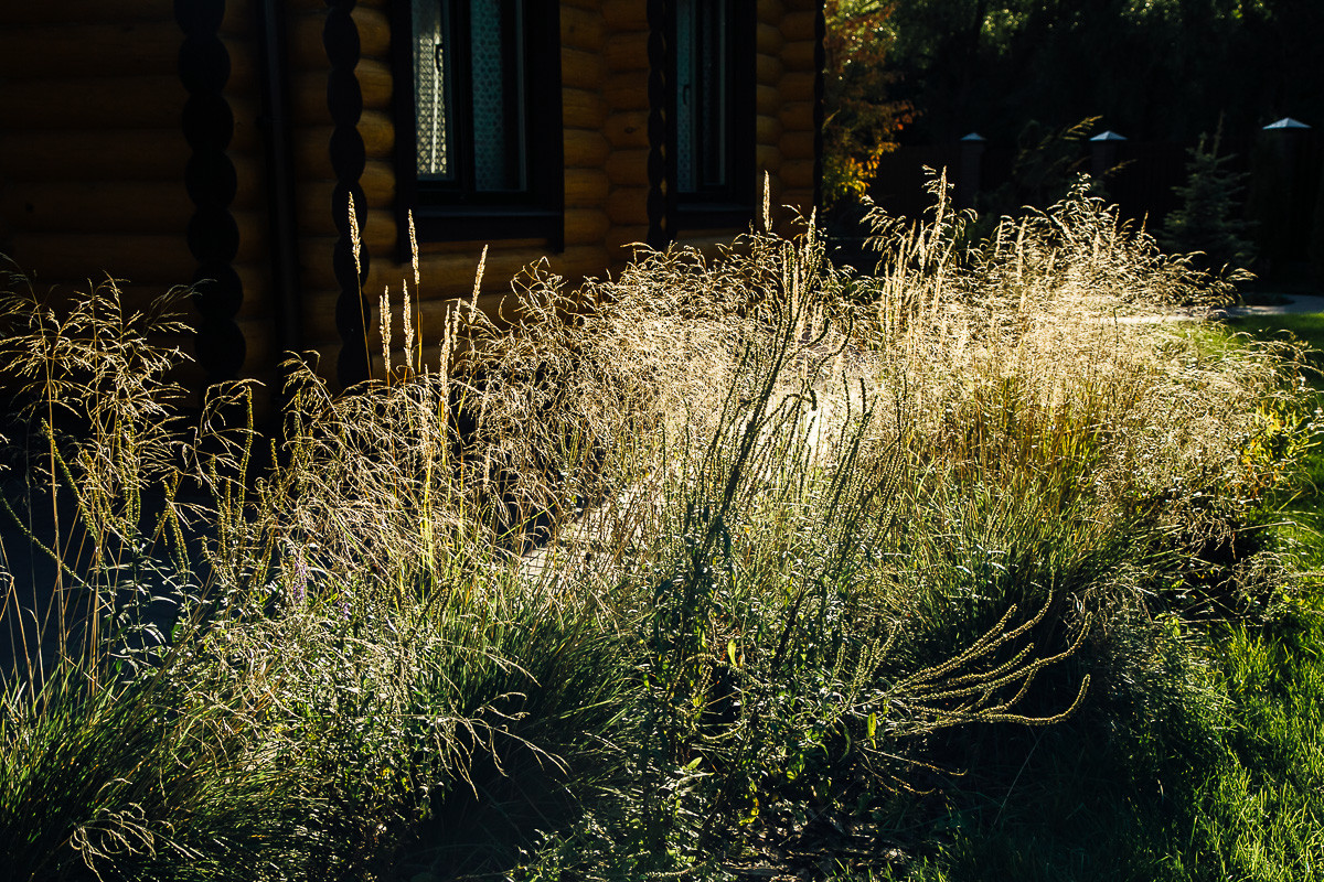 Русские Забавы