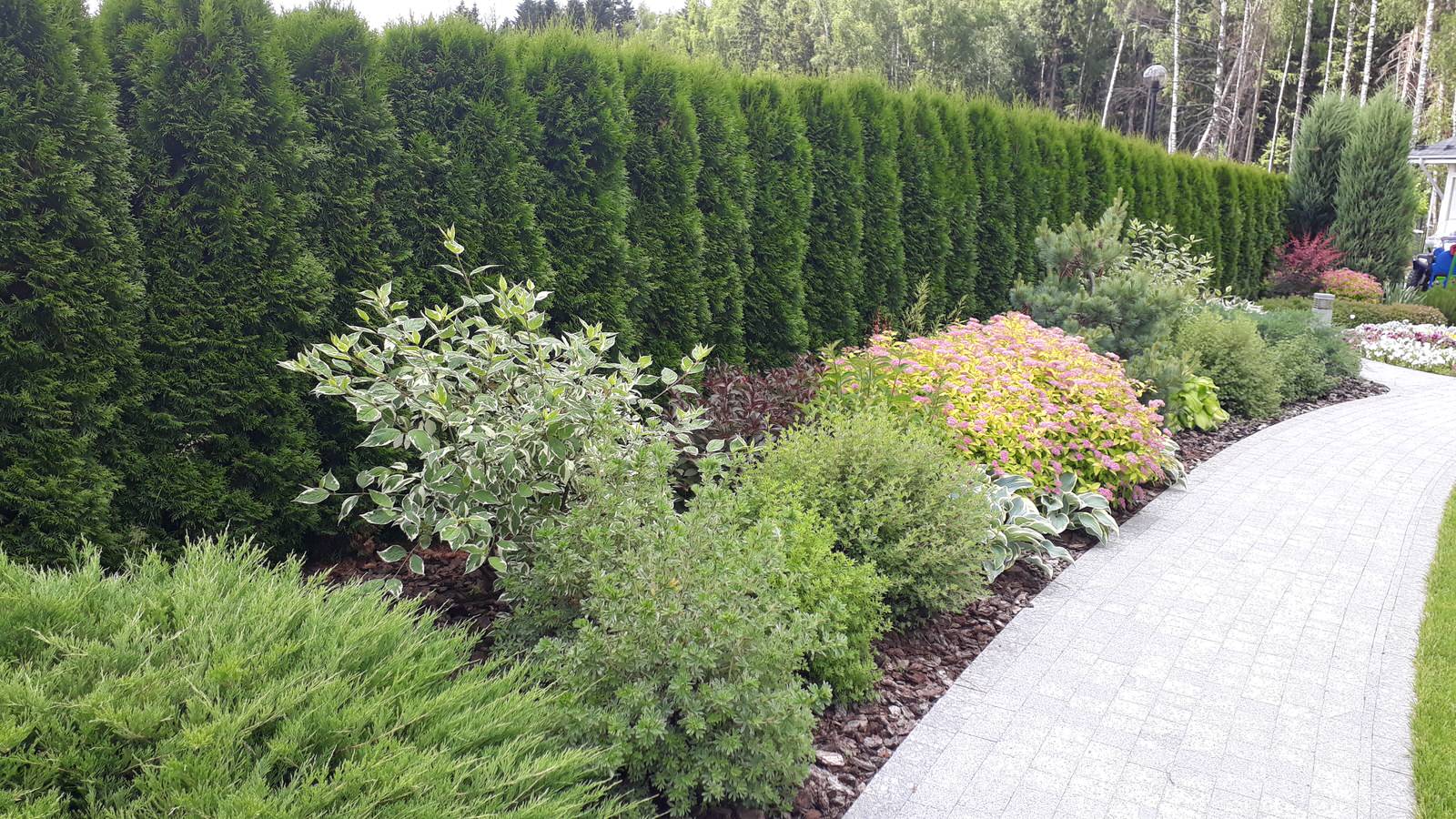 Графские пруды