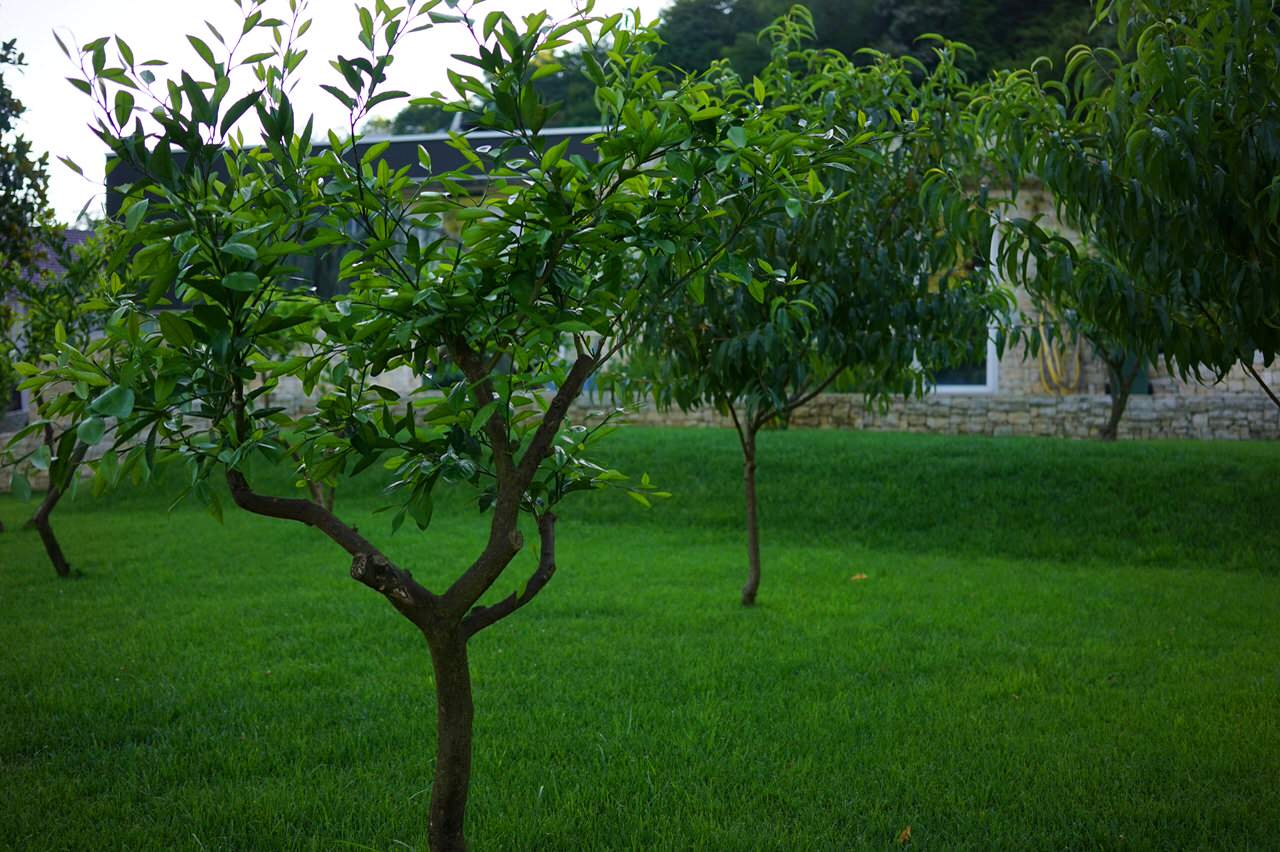 Лазурный Берег Сочи