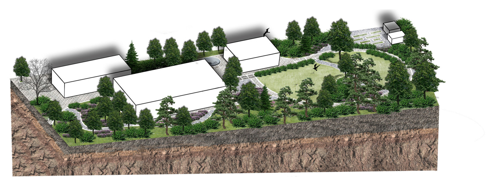 Обложка проекта: Сад "Берег Катуни"