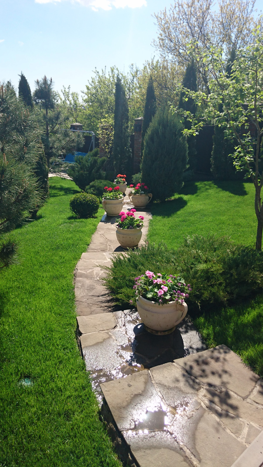 Обложка проекта: Участок на склоне