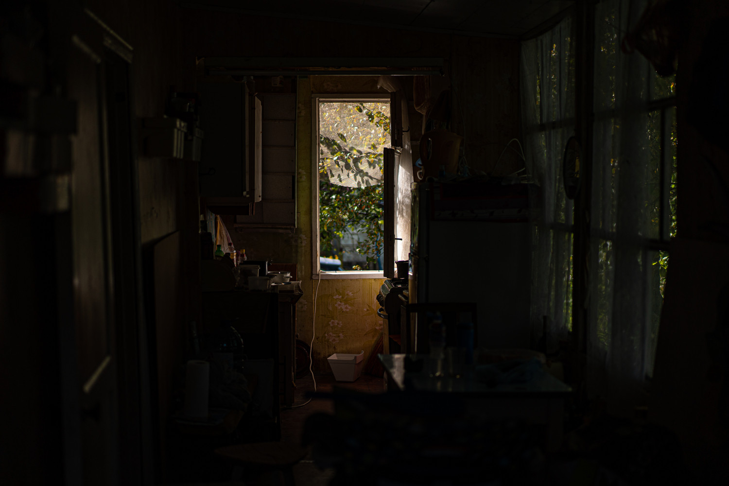 Unnamed Photo