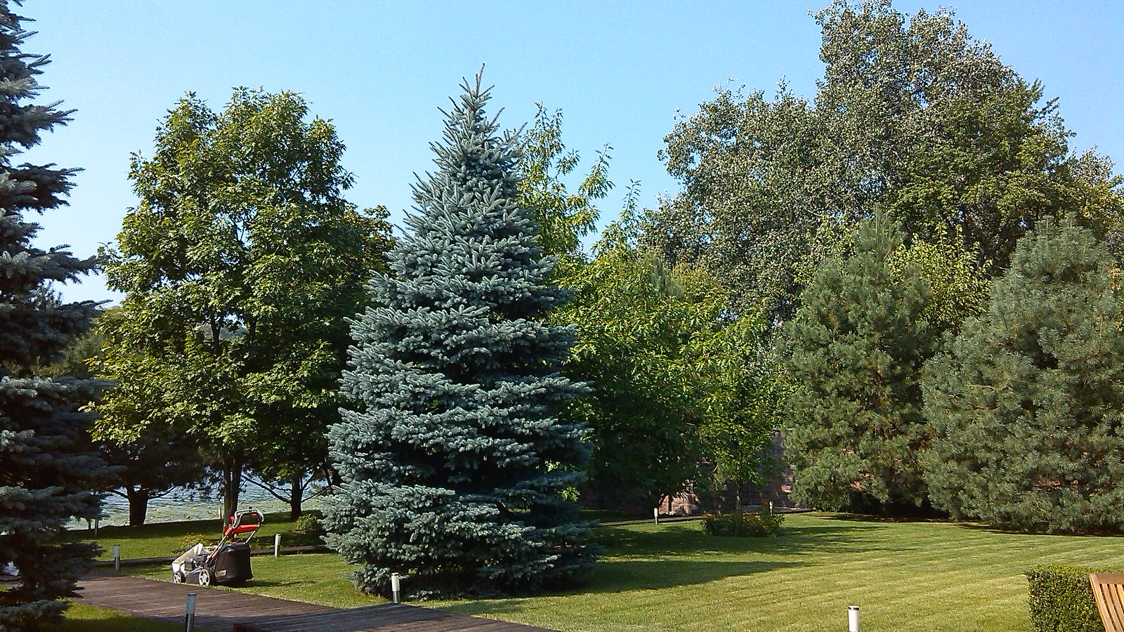 Строгость мужского ландшафта