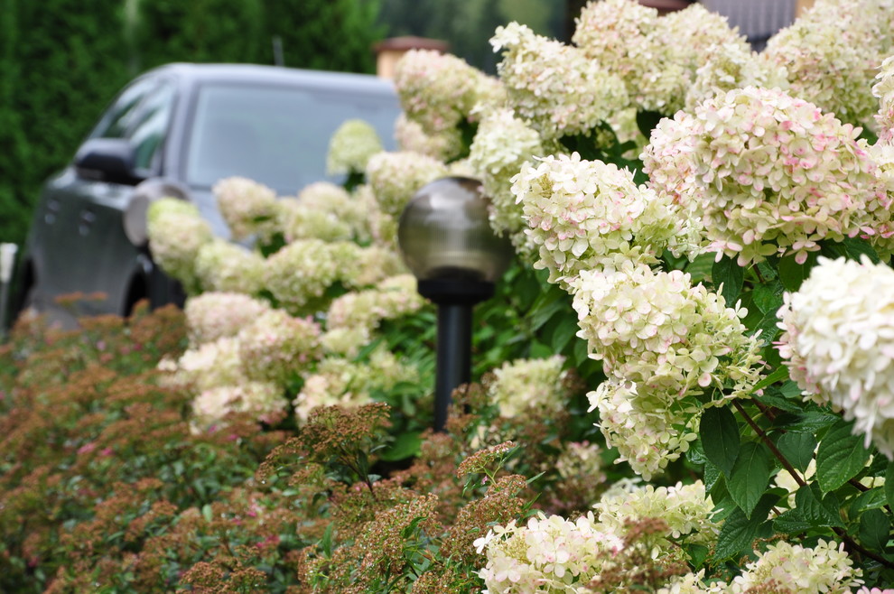 кп "Мелоди" - Уход за садом - 100% качество