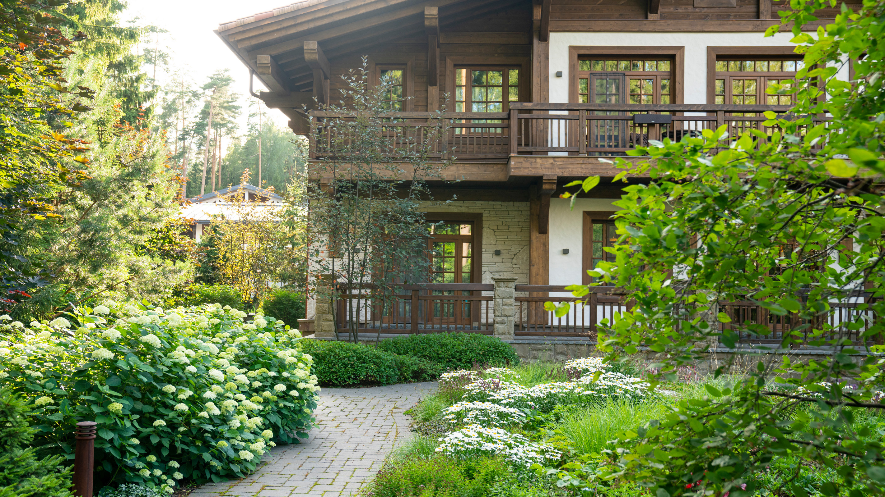 Мечта об Альпах. КП "Вымпел", Новорижское шоссе. 2017 г.