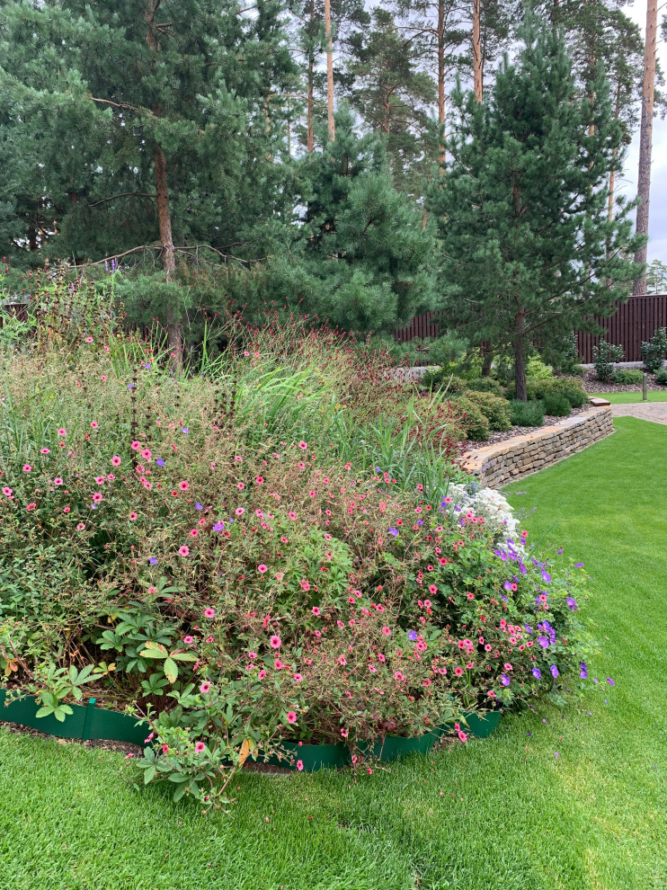 Золотой карп