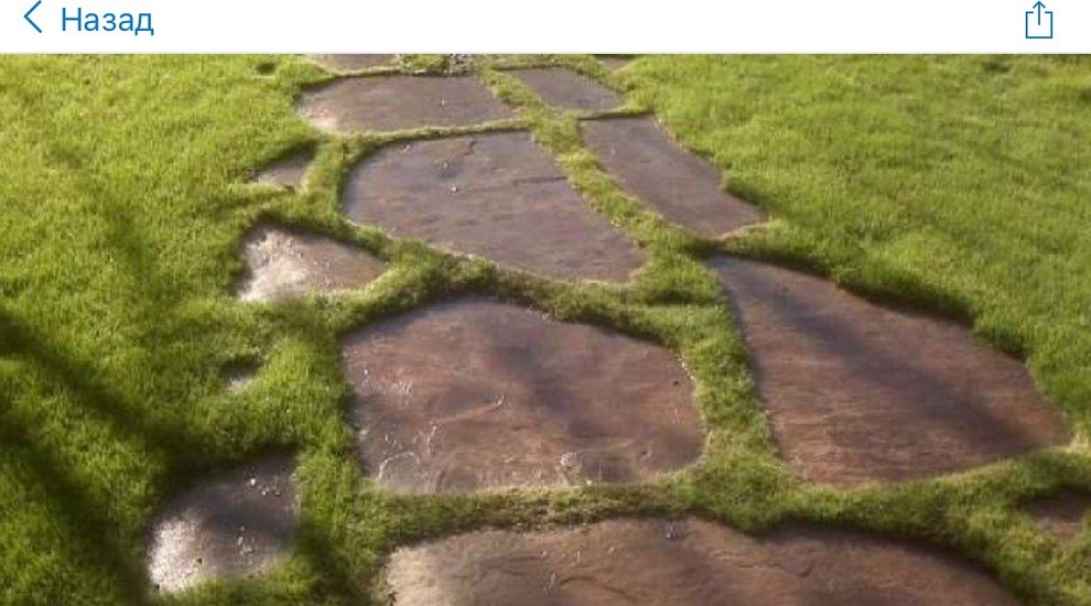 Наши Работы