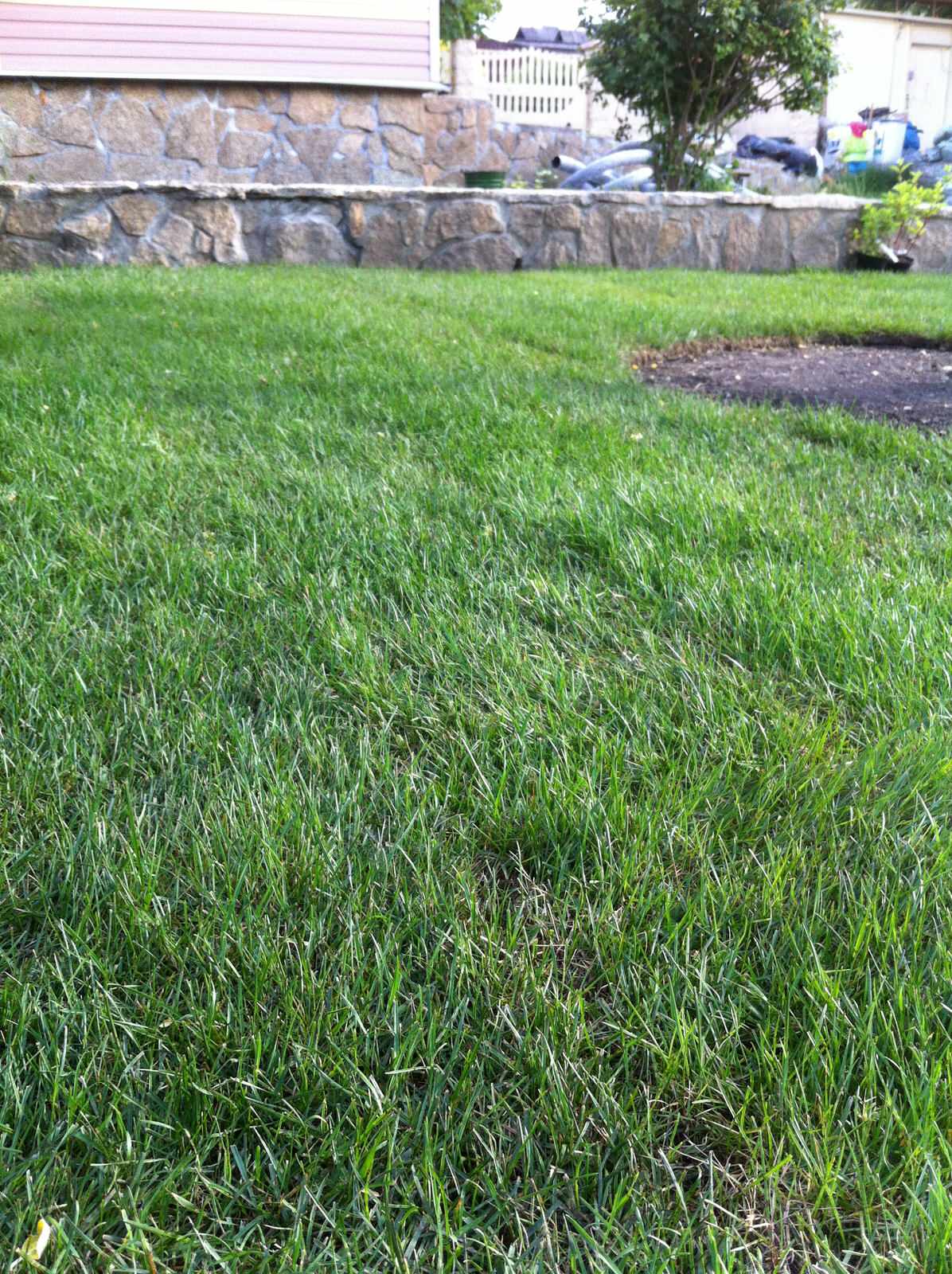 Сад на склоне. Реализация 2016 год