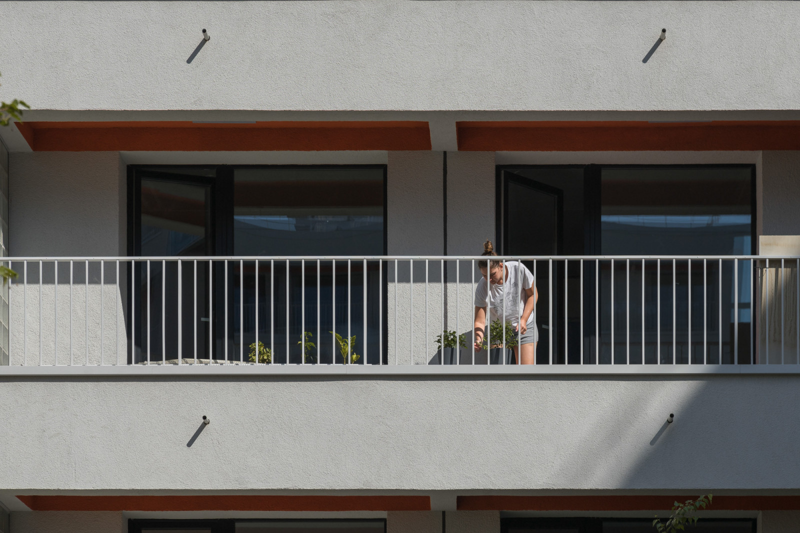 Дом с мостами