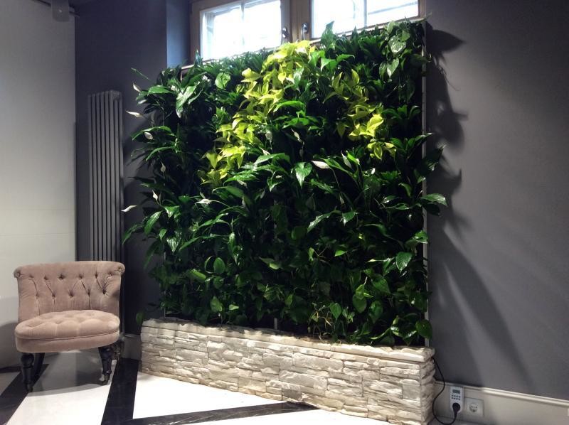 Обложка проекта: Фитомодуль загородный дом