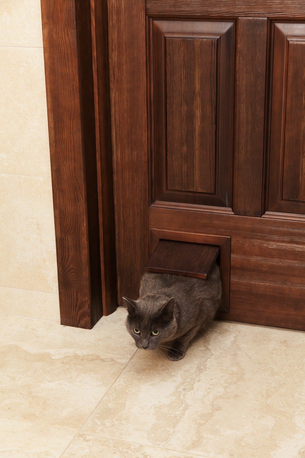 Оттенки дерева