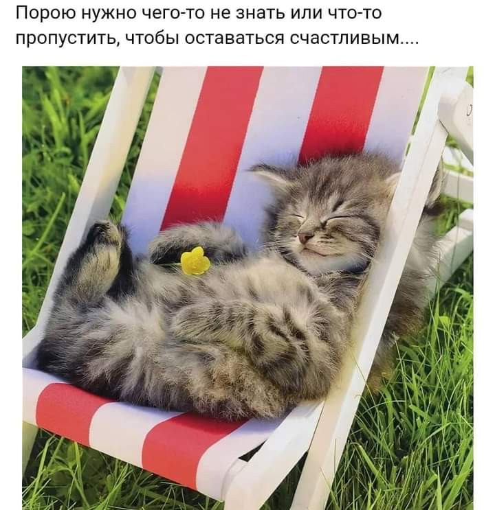 Владимер Иванов