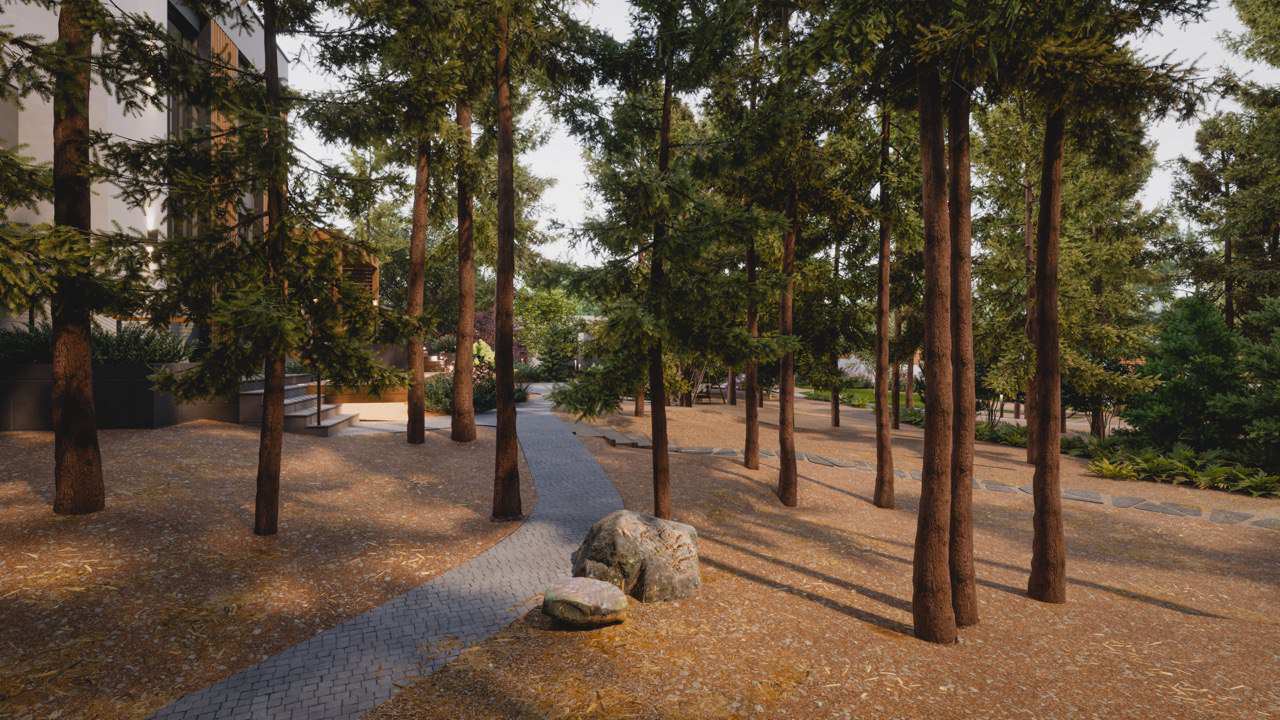 Тропинка в завораживающий лес