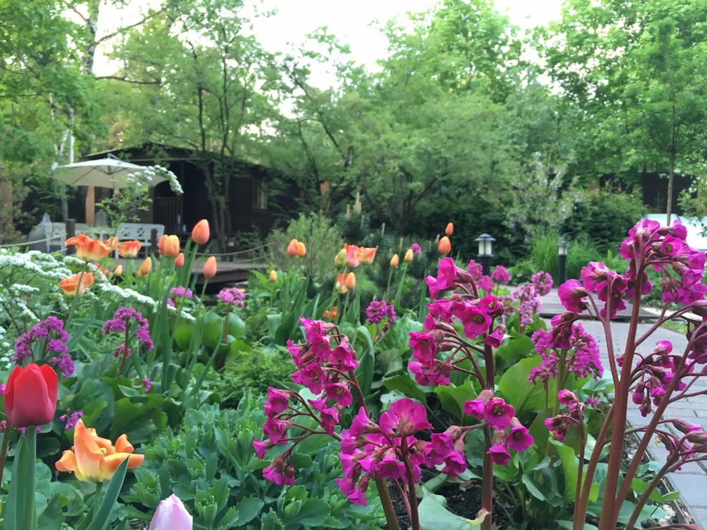 Белкин сад. Сад в стародачном поселке. Весна 2019