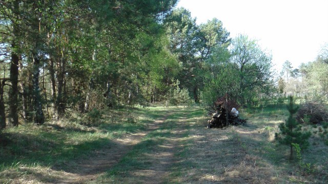 Обложка проекта: Загородный дом. Брест. Беларусь. 2015 год.