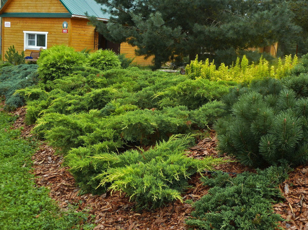 Обложка проекта: Мещера