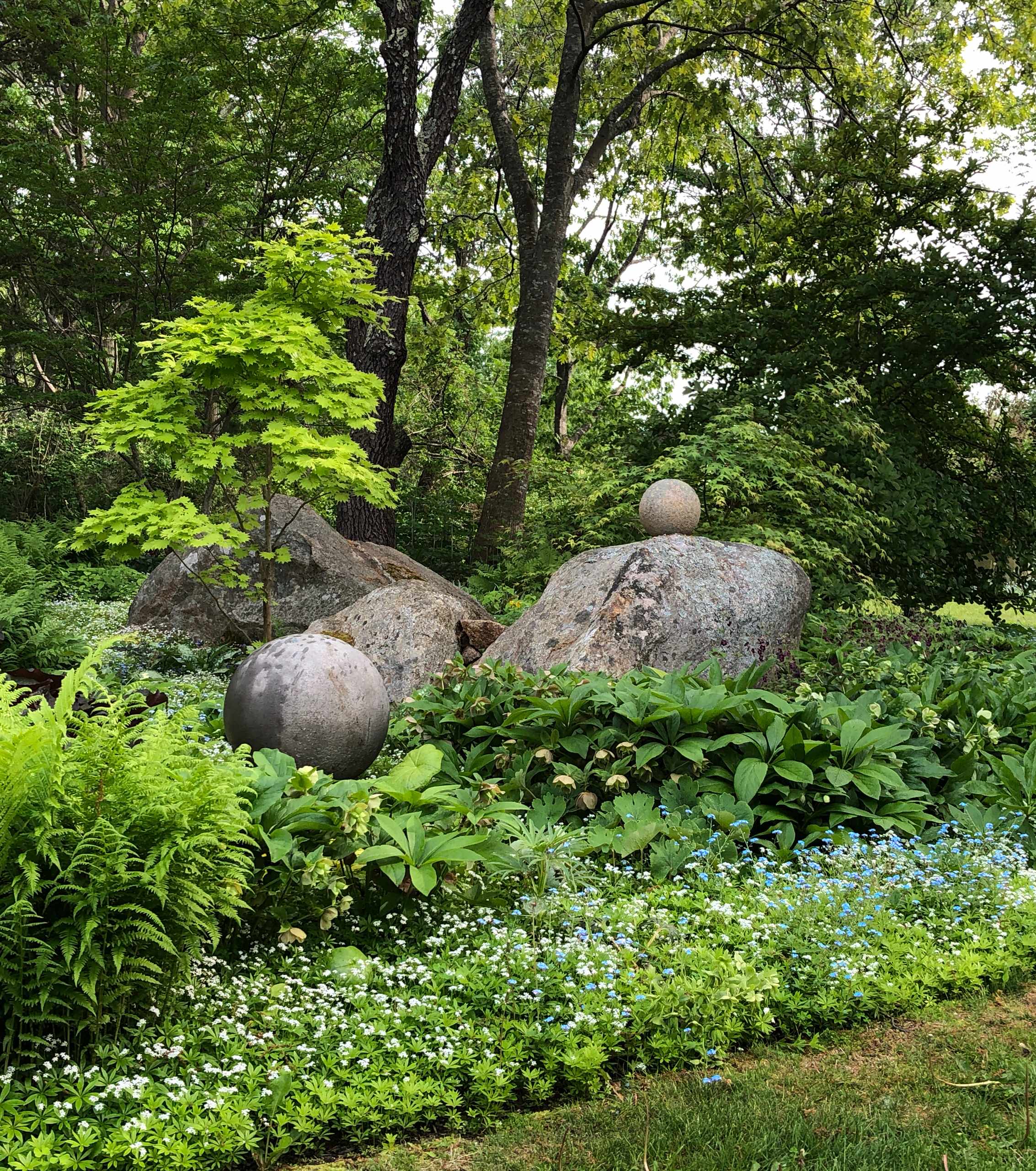 Houzz США: Сад, который который создавали 20 лет