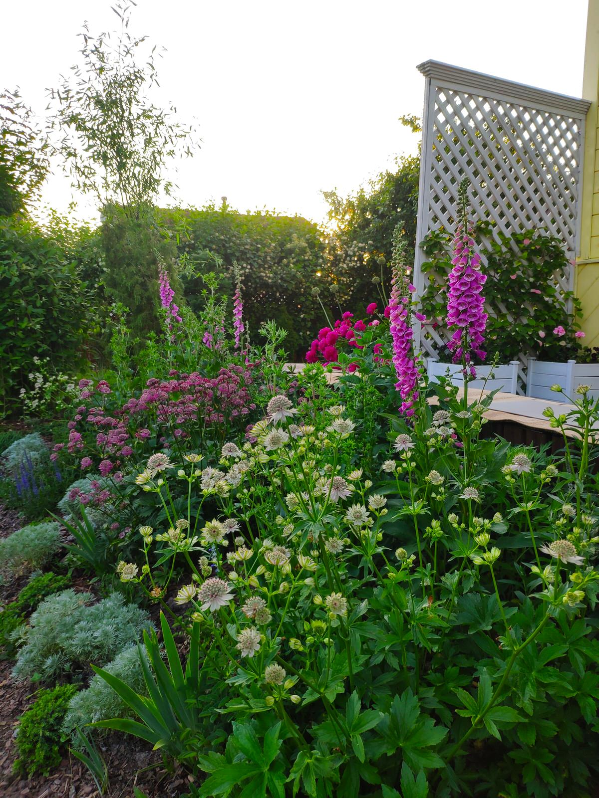 "Экспериментальный" сад любителя растений