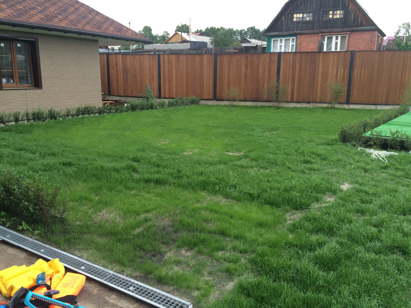 Посев газона и немного посадок