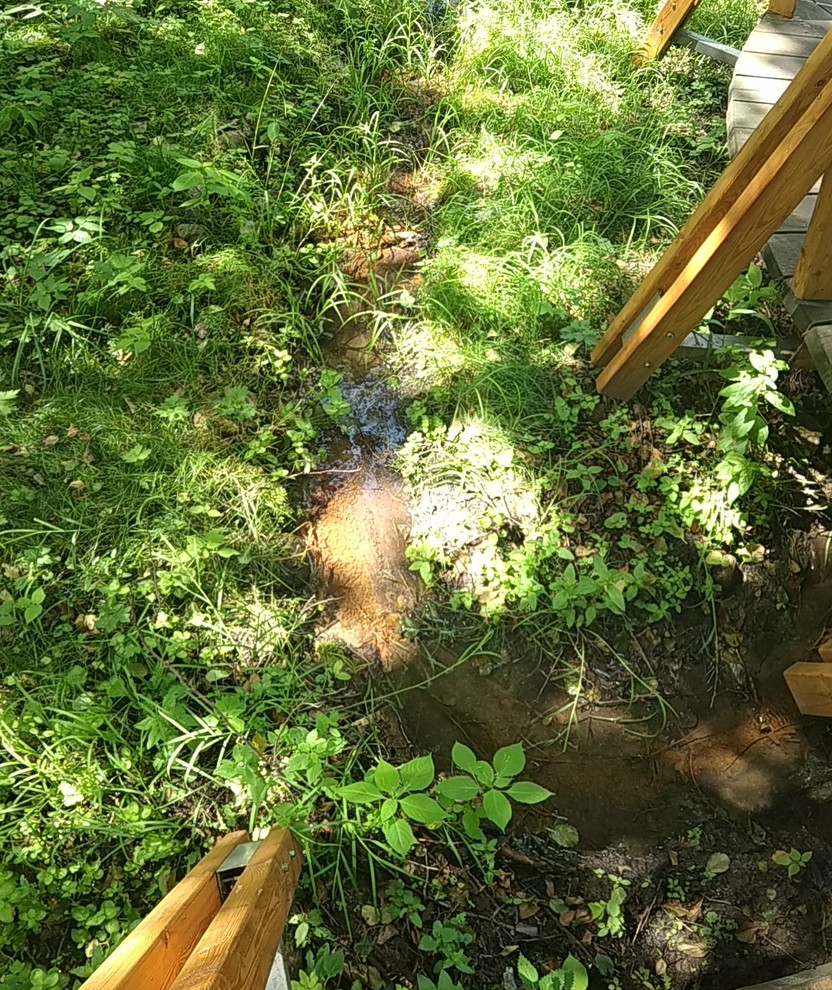 Valley of springs Долина родников