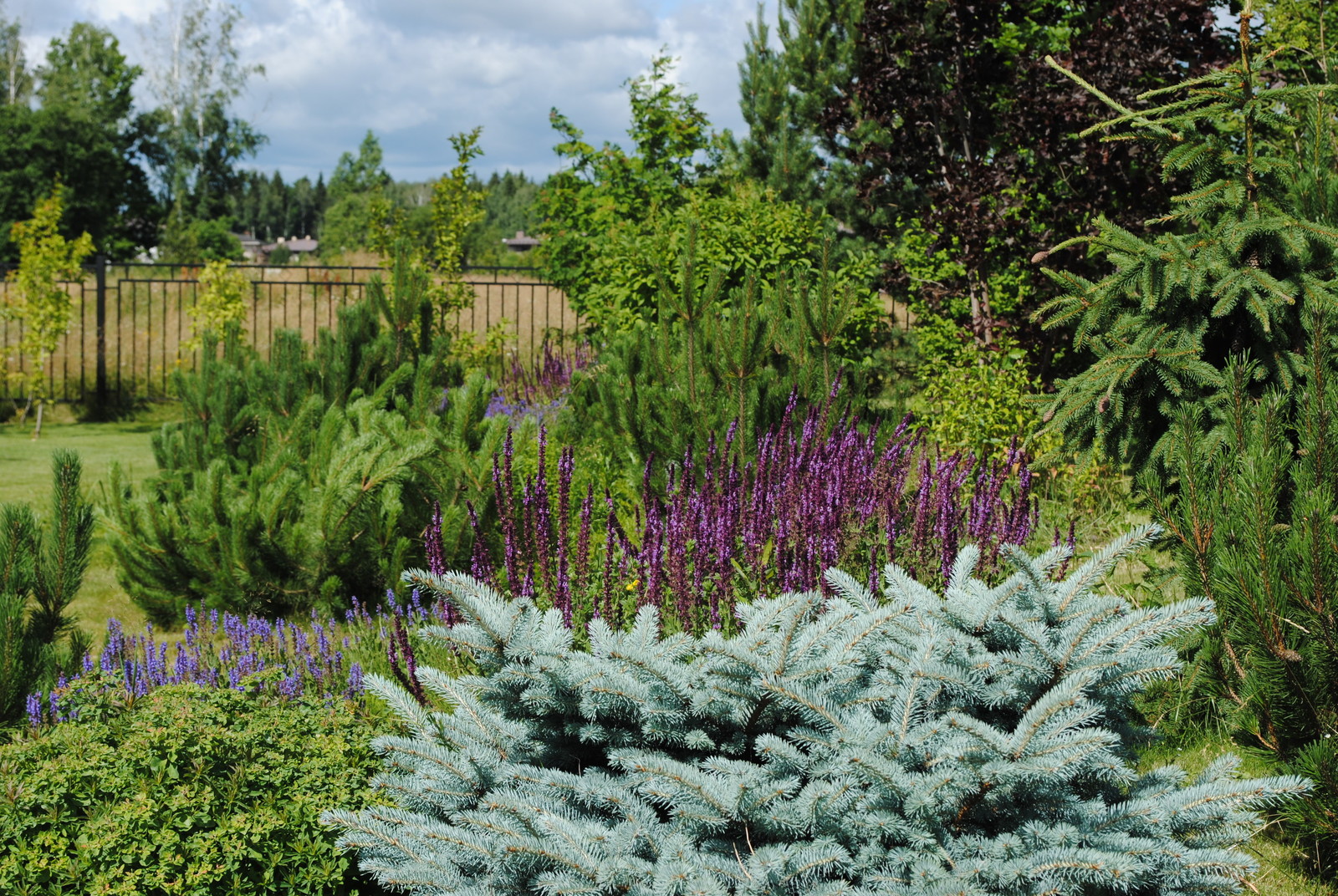 КП Графские пруды