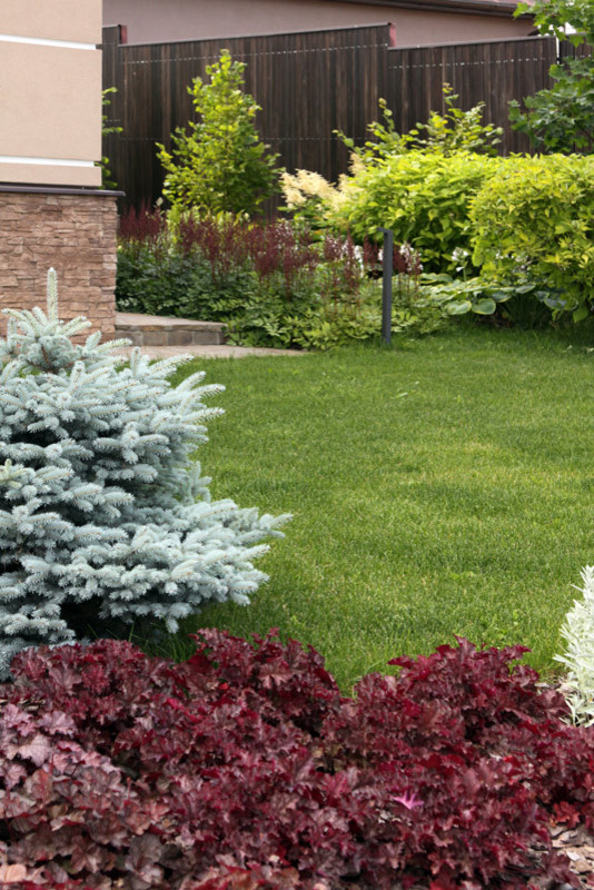 Современный сад