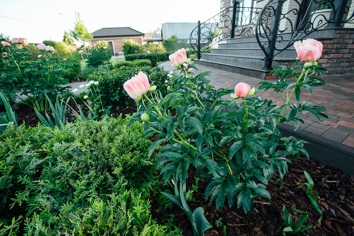 Сад "Равновесие"