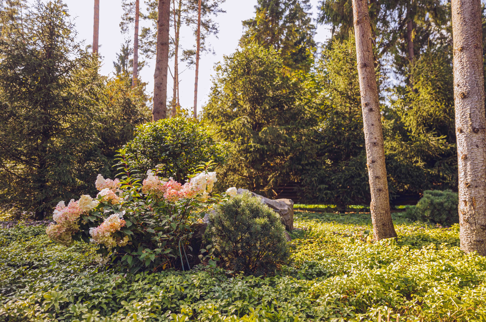 Архитектурное Решение в Пейзажном Стиле