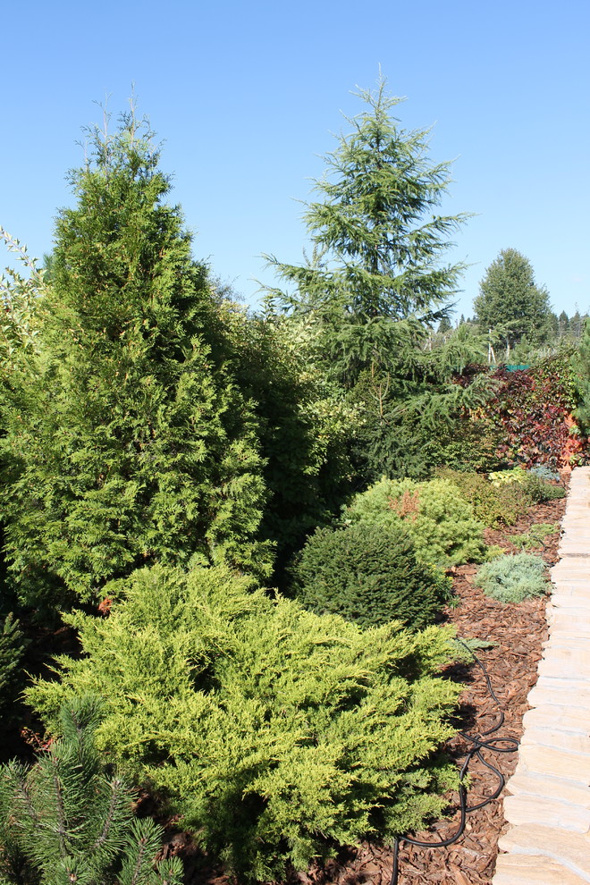 Хутор Брехово