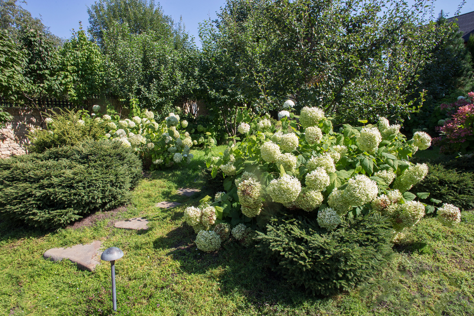 Garden of Elena Astashkina in Moscow Region