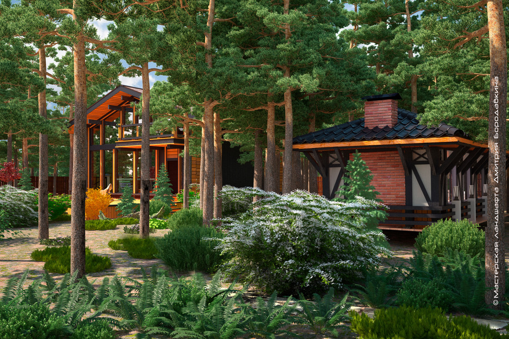 Утро в сосновом лесу