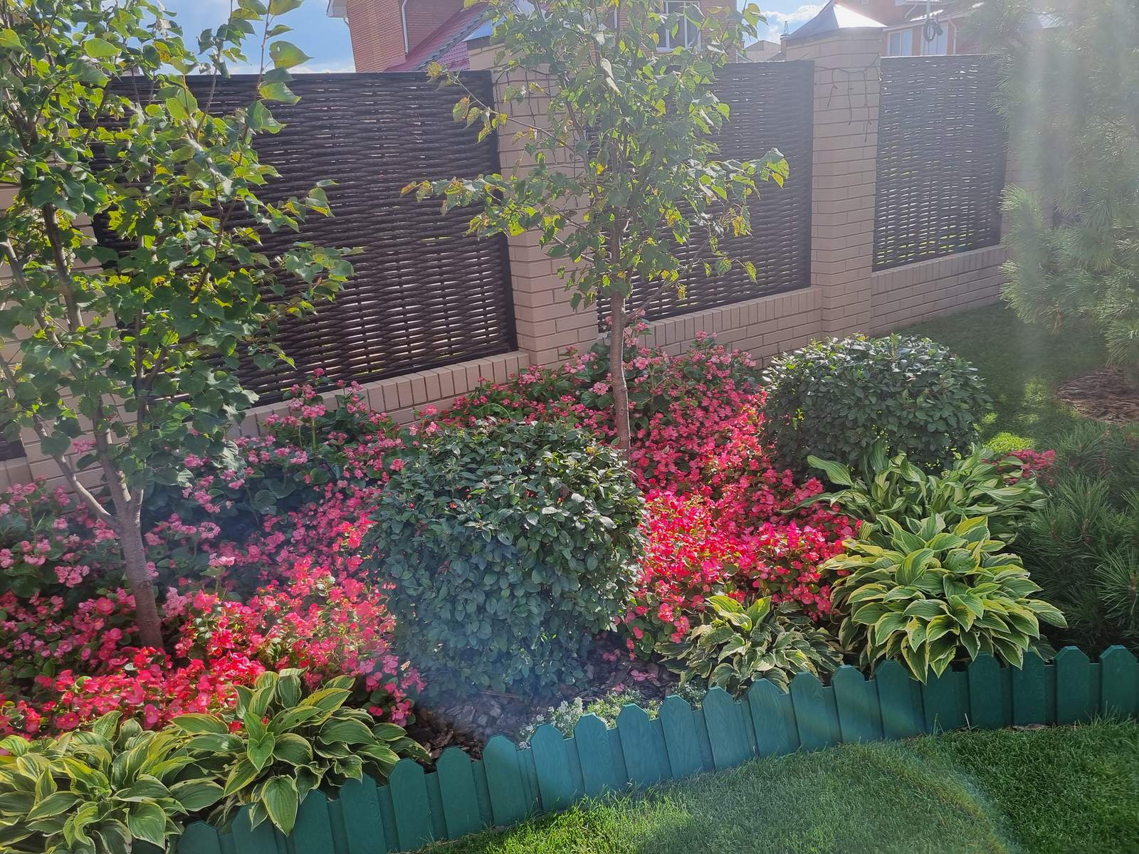 Серебрянный бор - 3