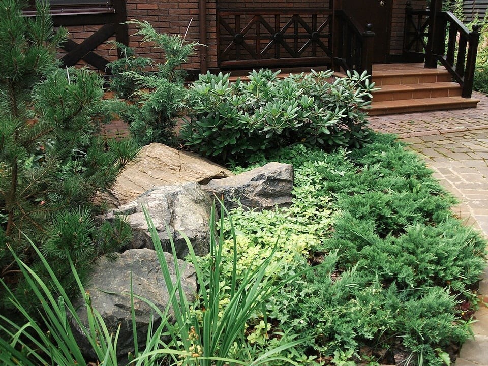 Ильинское шоссе. 50 соток.