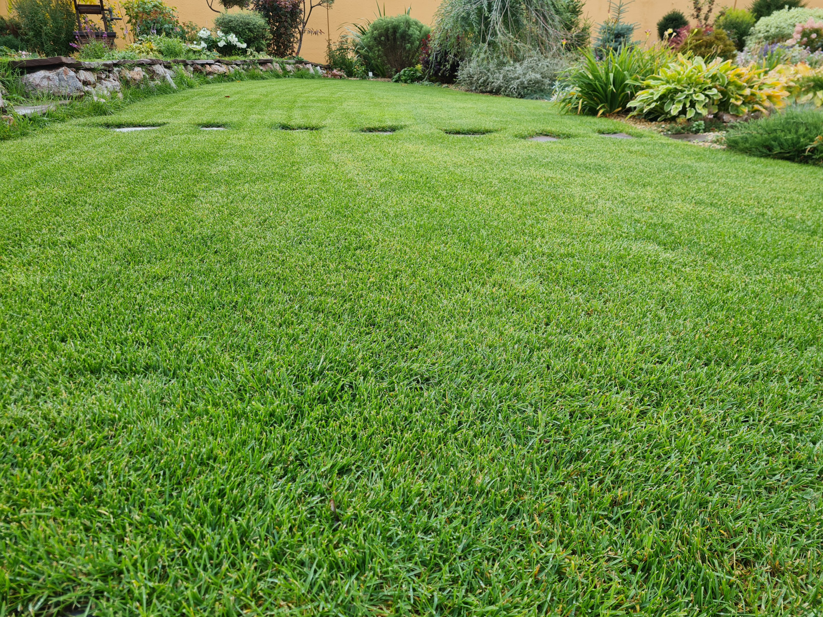 Рулонный газон Красноярск