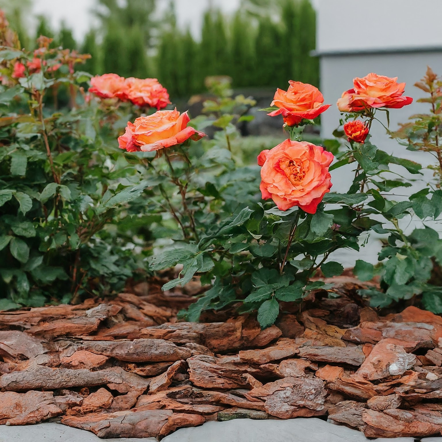 Частный сад 2. Современный