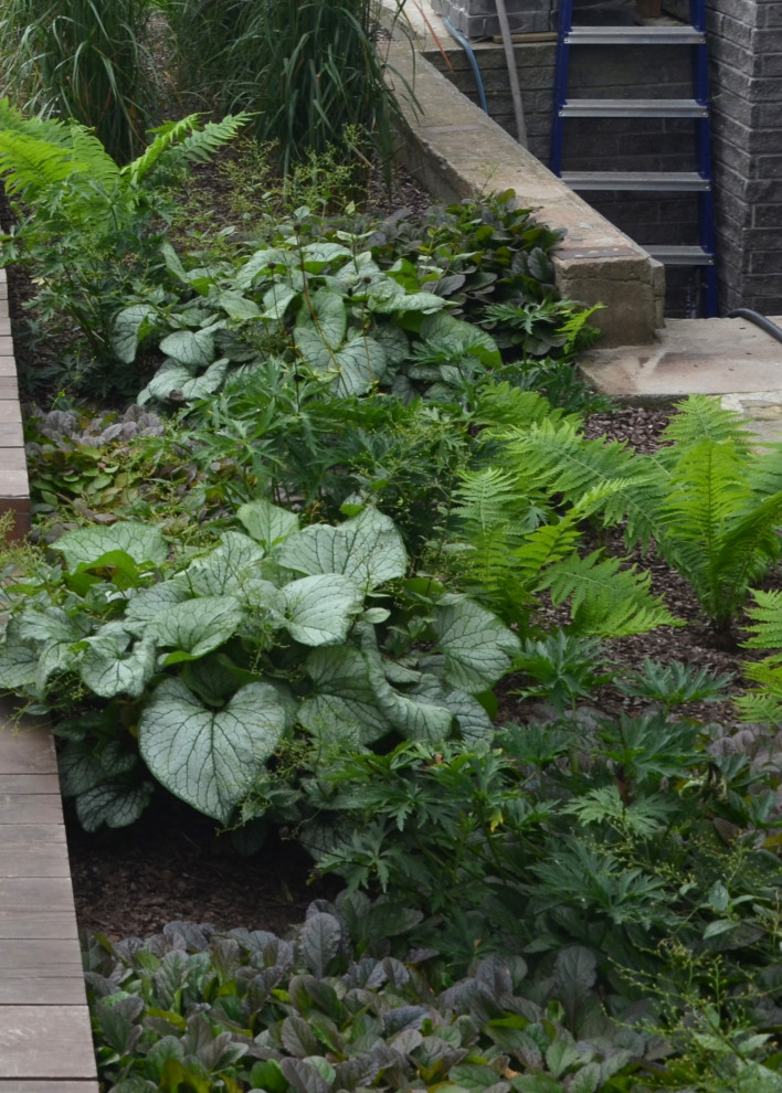 Звенящие шаги