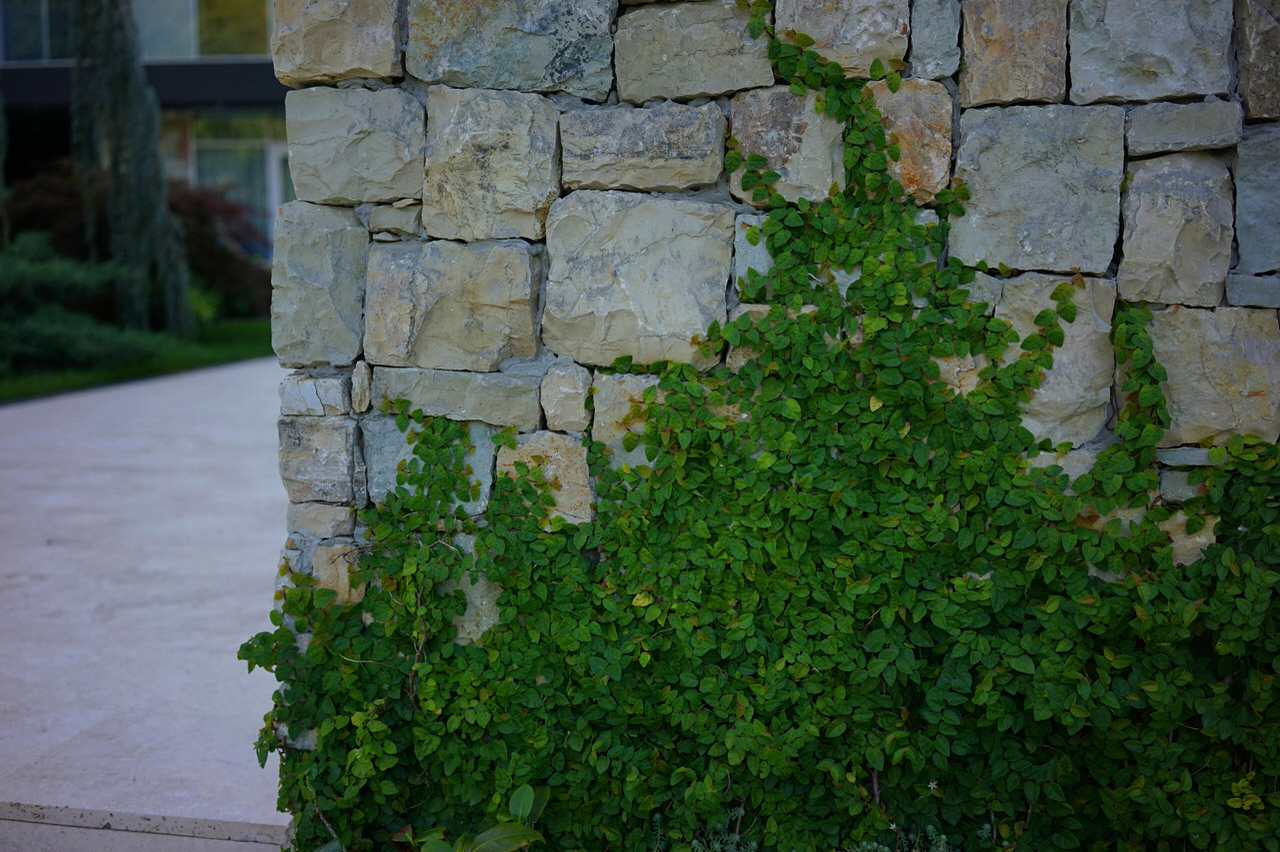 Лазурный Берег Сочи