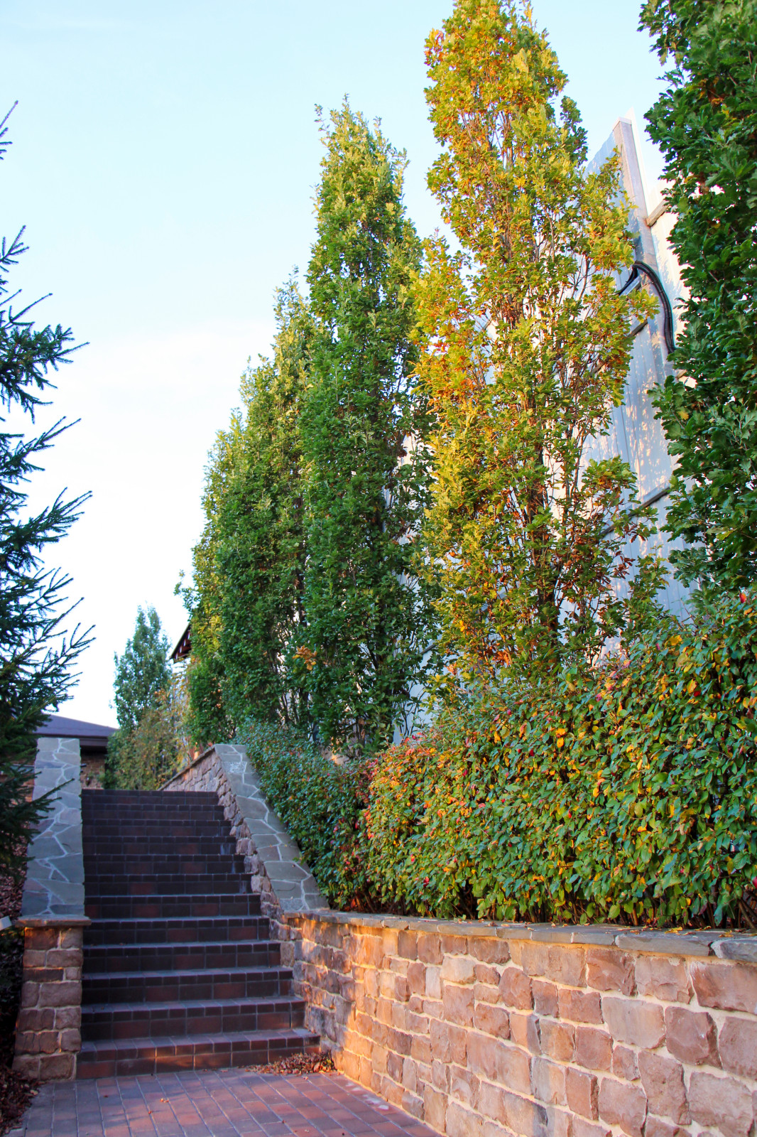 Лобаново, 2012-2021 гг.